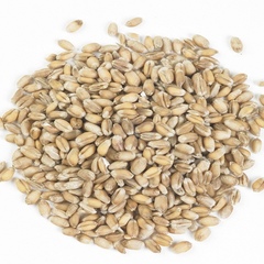 Пшеница для самогона, 1 кг